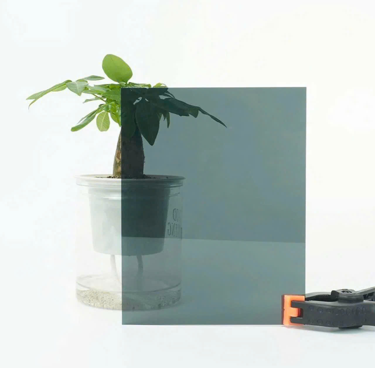 tấm nhựa kính cao cấp asia nhựa kính cao cấp asia